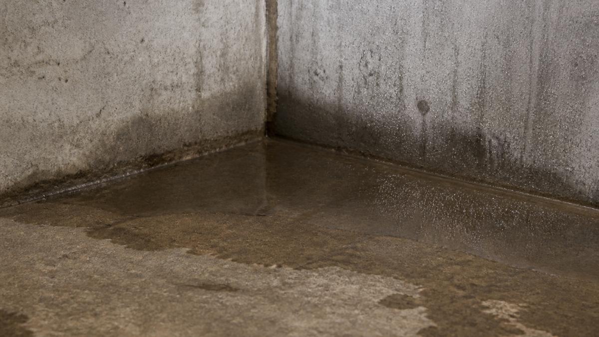 Water pooling against a concrete foundation wall in a basement corner, with visible moisture beading on the surface and dampness spreading across the floor
