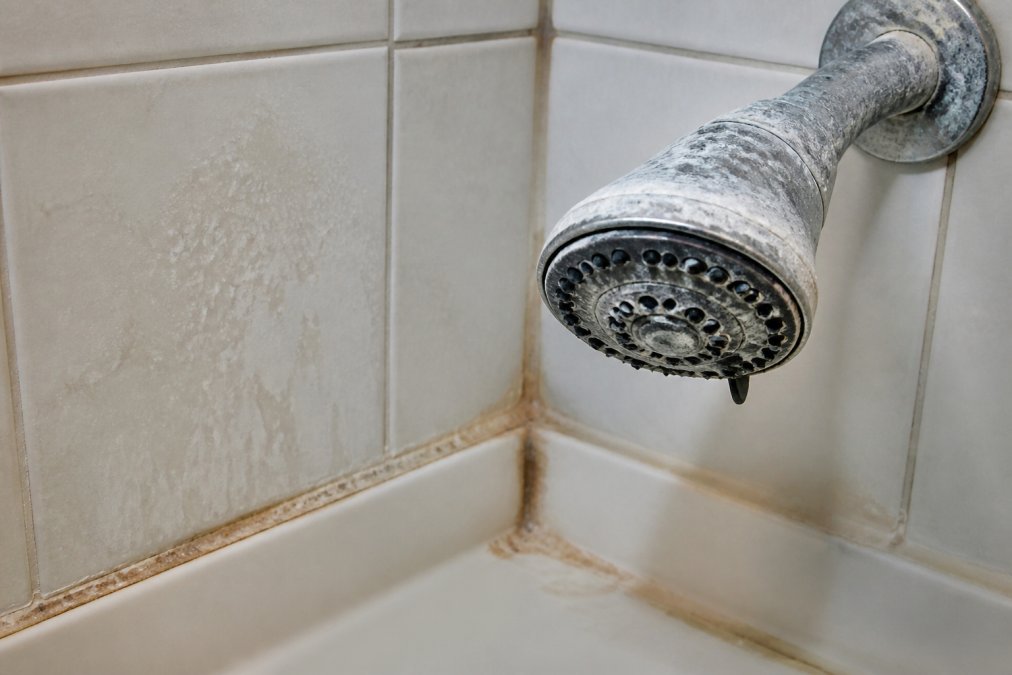 Signs of Hard Water Damage: What to Look For