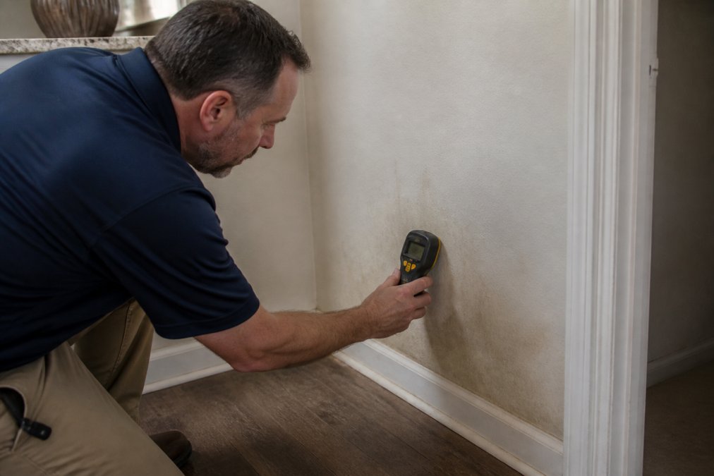 Homeowner uses a moisture meter on a wall with brown staining to check for potential mold behind drywall.