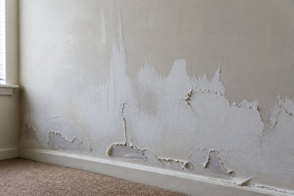 Close-up of interior drywall showing peeling paint with visible uneven coverage, brush marks, and areas of poor surface preparation in natural daylight