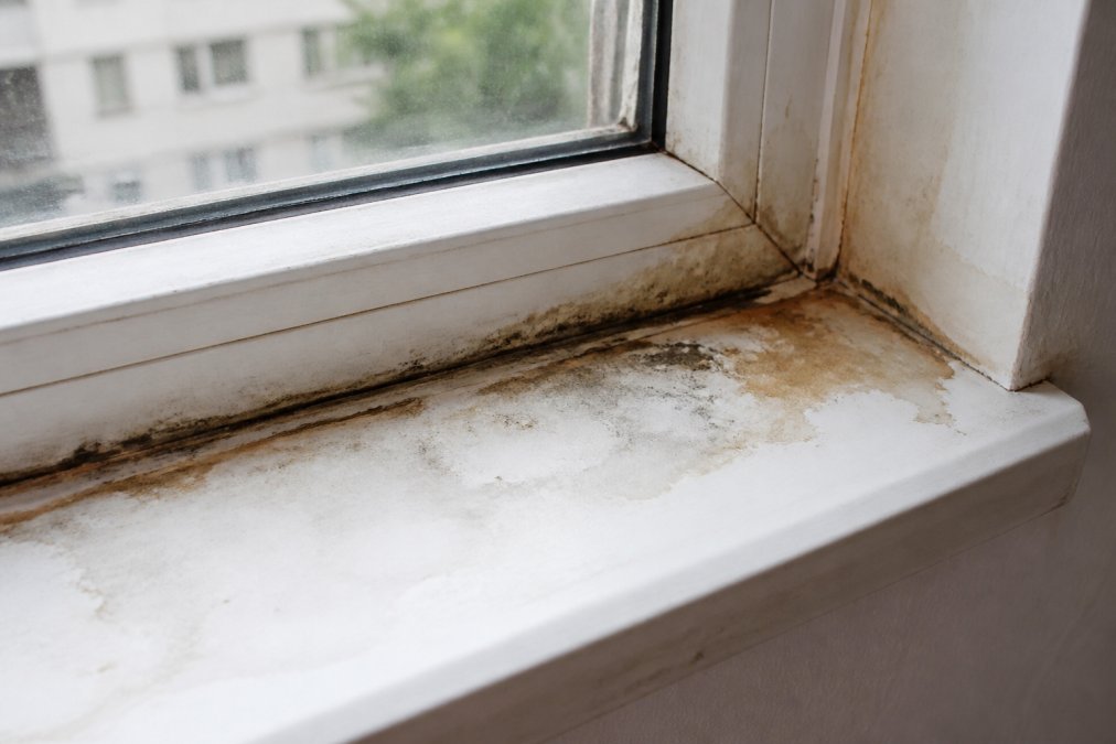 Close-up of water stains and moisture damage on white interior window sill with visible mold spots and discoloration around window frame