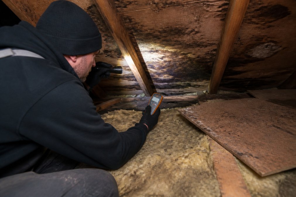 Homeowner in loft space using a moisture meter on wet insulation and attic boarding, with a torch illuminating water damage and dark mould patches on the roof deck