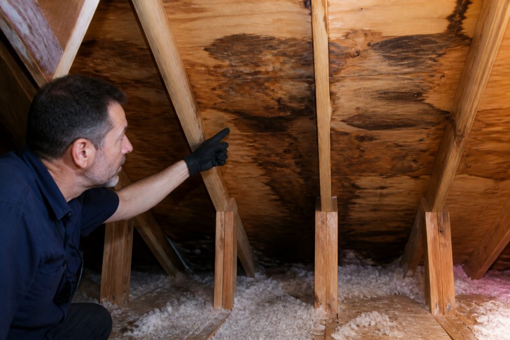 Signs of Roof Leak in Attic: A Complete Inspection Guide