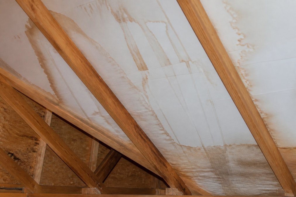 Close-up of brown water stains and streaking patterns on wooden roof rafters and white attic sheathing, showing active moisture intrusion marks