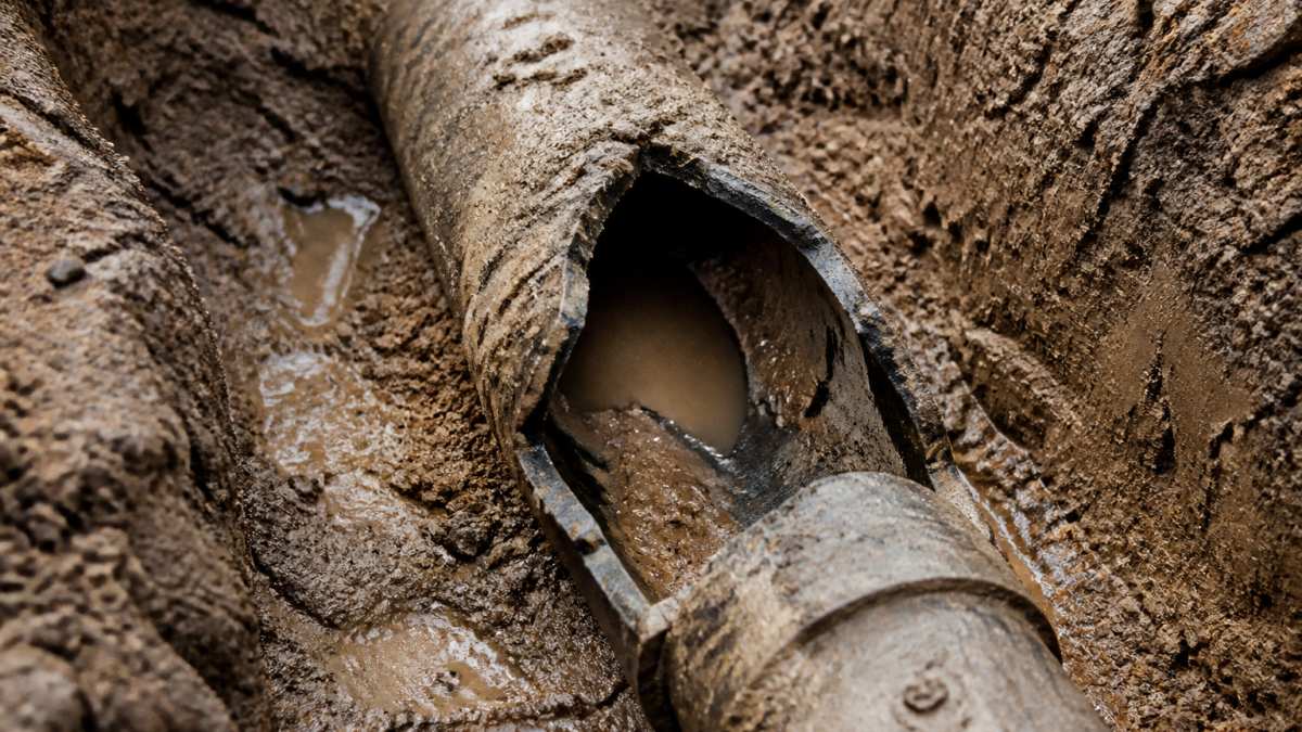 Signs of Sewer Line Damage: 7 Warning Signs to Know