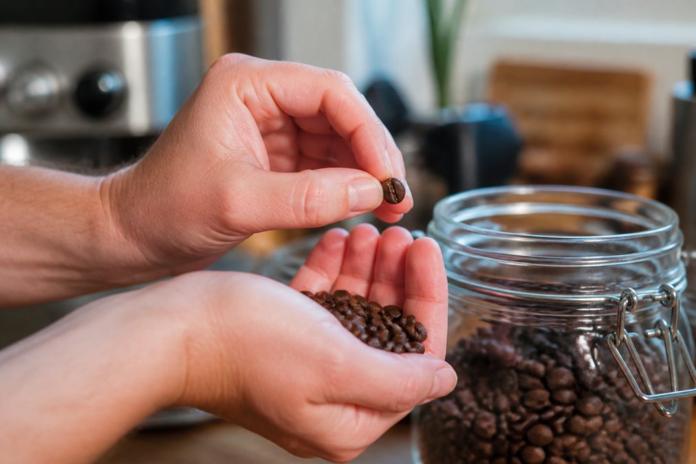 Hands examining coffee beans near a glass jar to check for stale coffee beans in a kitchen light