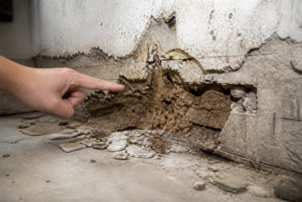 Signs of Termite Damage in Home Foundations
