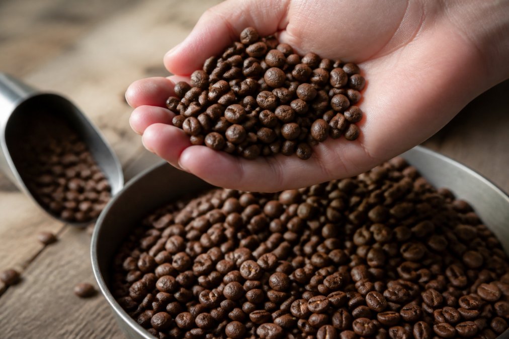Signs of Truly Fresh Coffee Beans: 2026 Guide