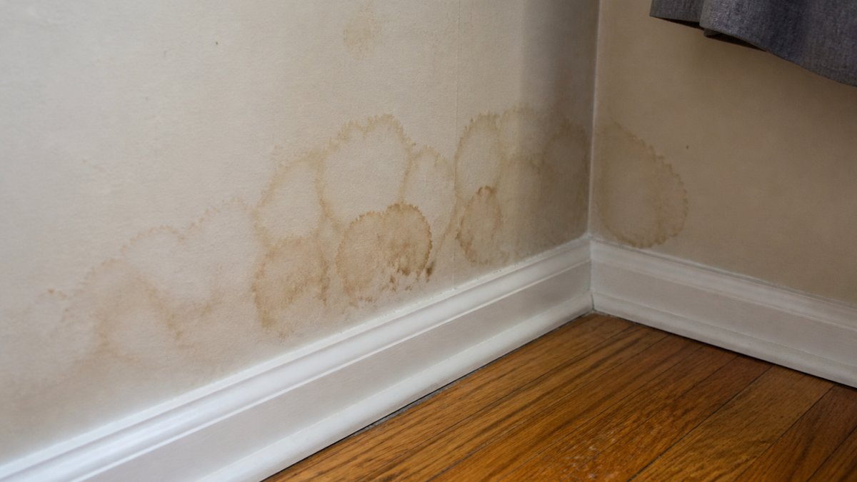 Infographic showing water stains on interior drywall indicating water behind siding damage