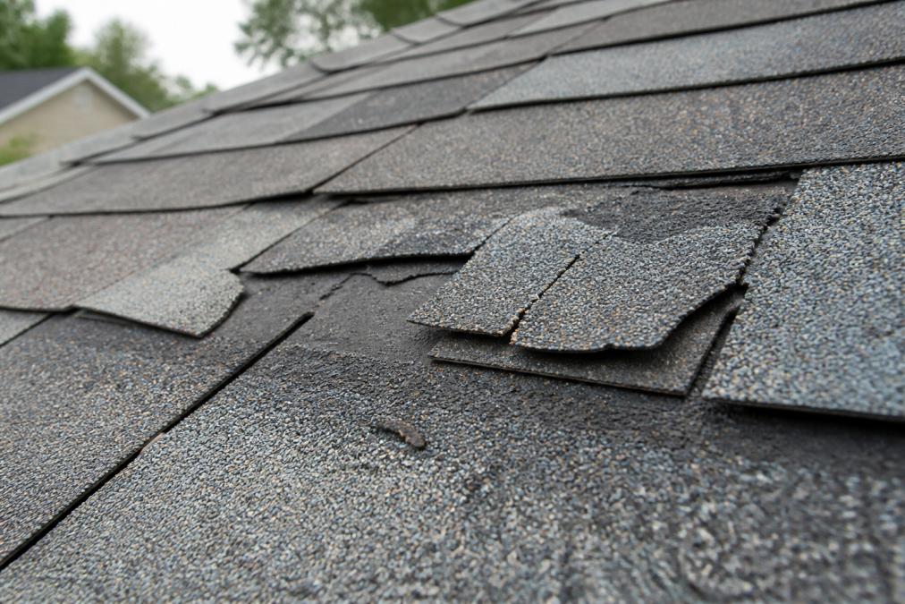 Close-up of cracked and curling asphalt shingles on a residential roof, with missing granules exposing the mat underneath
