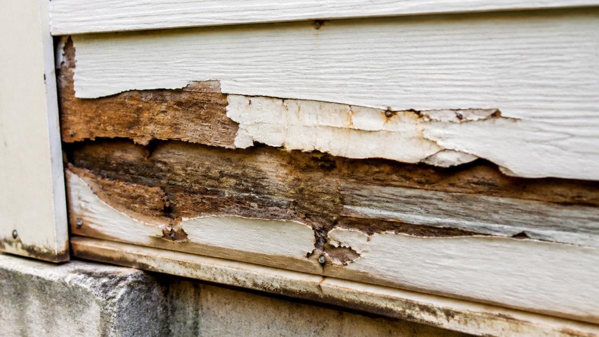 Close-up of weathered siding showing visible rot, soft spots, discoloration, and material breakdown on exterior wall with natural daylight