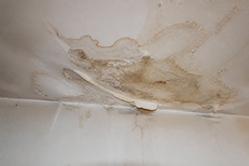 Close-up of water staining and discoloration on a drywall ceiling with visible moisture damage, peeling paint, and mineral deposits indicating a hidden leak above, photographed under natural lighting