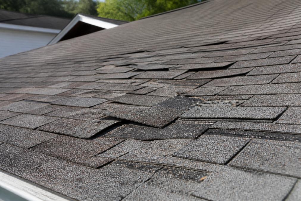 Close-up of a residential asphalt shingle roof showing curling, buckling shingles with visible granule loss and dark staining, shot in natural daylight