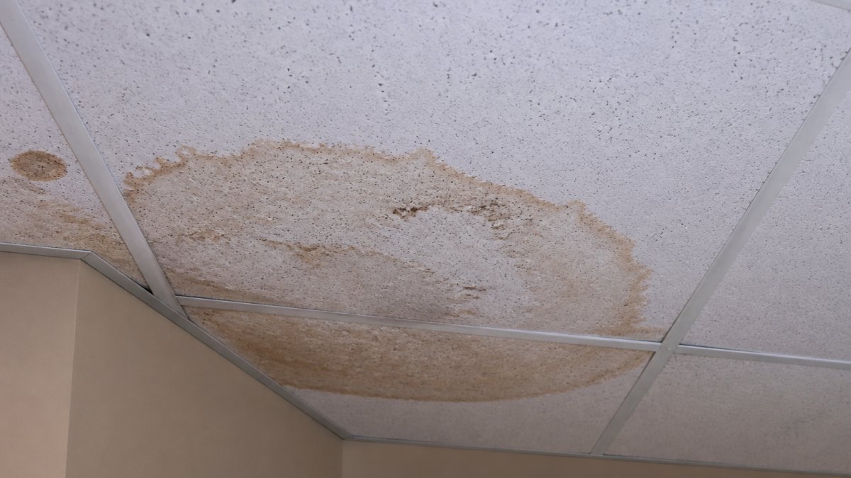 Close-up of water stain and discoloration on a commercial building's interior ceiling, showing visible damage from roof leak