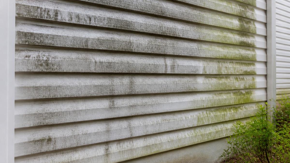 Close-up of home exterior siding showing black streaks, algae growth, and dirt accumulation on the wall surface