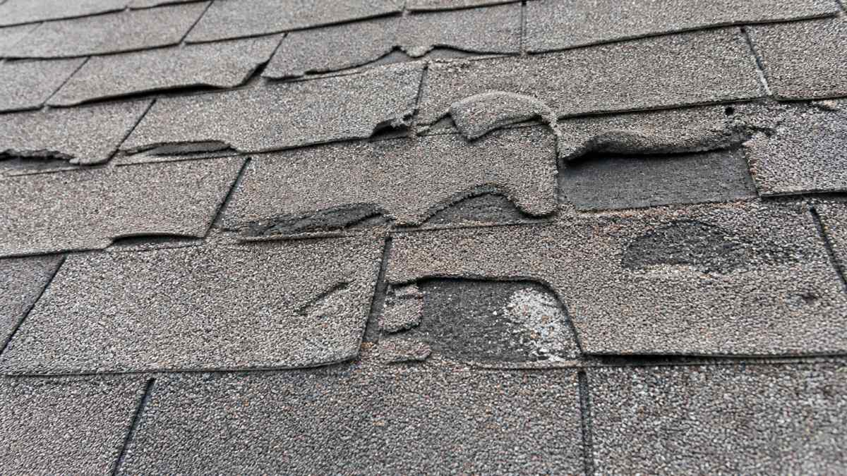Close-up of asphalt shingles showing visible damage including missing shingles, curling edges, and granule loss on roof surface in natural daylight