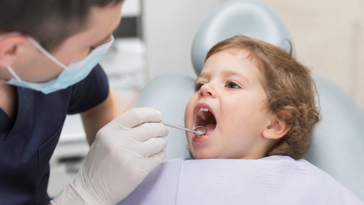 Pediatric dentist examining a toddler's open mouth showing primary teeth and gums with a dental mirror under bright clinical lighting Pediatric dentist examining a toddler's open mouth showing primary teeth and gums with a dental mirror under bright clinical lighting