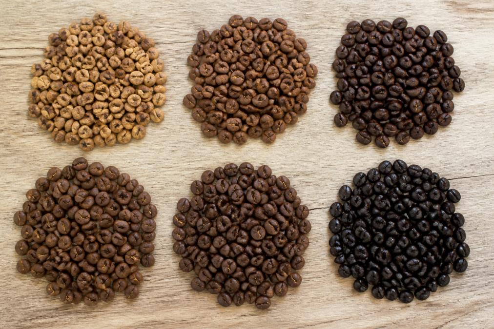 Overhead flat lay of six freshly roasted single origin coffee beans in separate piles, each labeled with its origin country (Ethiopia, Kenya, Colombia, Costa Rica, Brazil, Honduras), showing distinct color differences between light, medium, and dark roasts with beans arranged on a light wooden surface