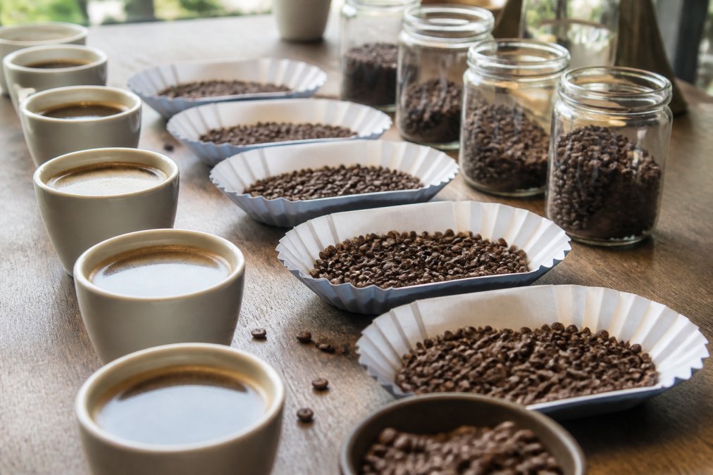 Single Origin Coffee Flavor Profiles Explained