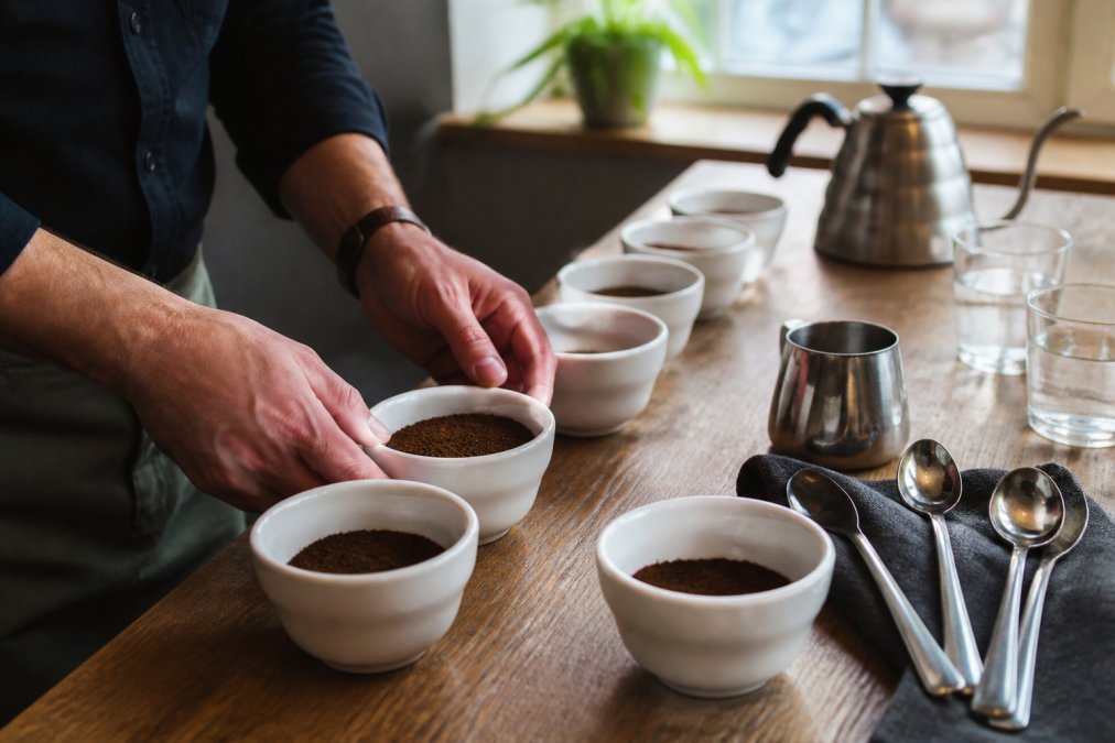 Professional's hands arranging multiple white ceramic cupping bowls with freshly ground single origin coffee on a wooden tasting table, with a kettle and tasting spoons nearby in natural window lighting