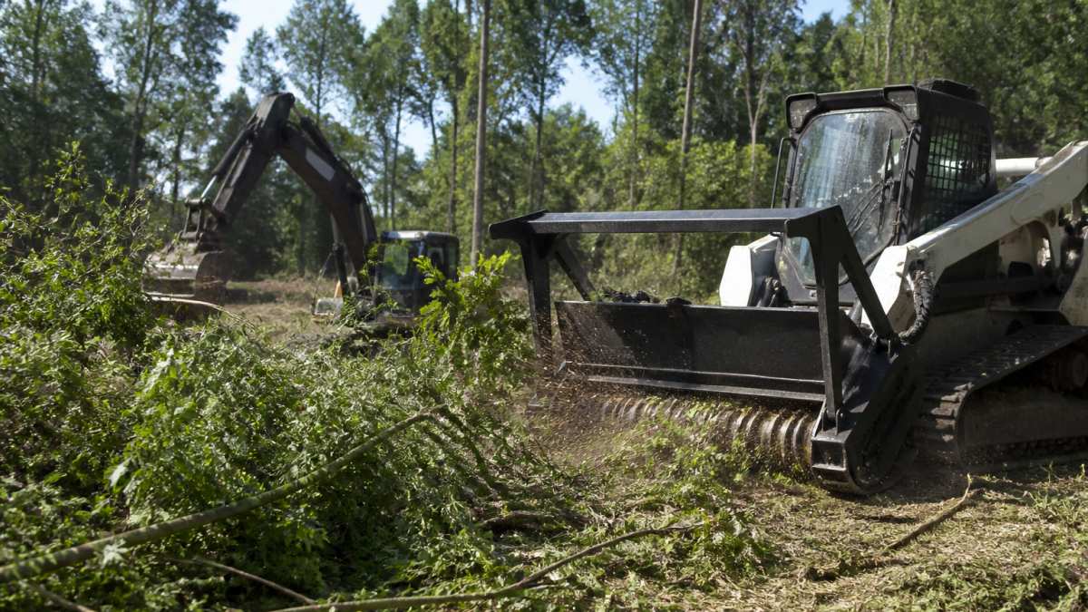 Forestry mulcher clearing dense brush and trees as part of essential site preparation steps on a building lot.
