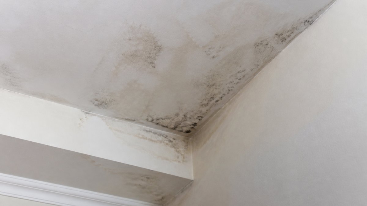 Diagram showing signs of water damage and mold around a skylight that may require repair to restore curb appeal.