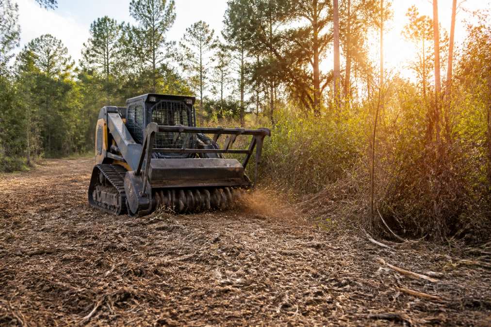 A forestry mulching machine grinding thick brush on a small residential acreage, cut vegetation and a fresh mulch layer visible on the ground, late afternoon sunlight through remaining trees