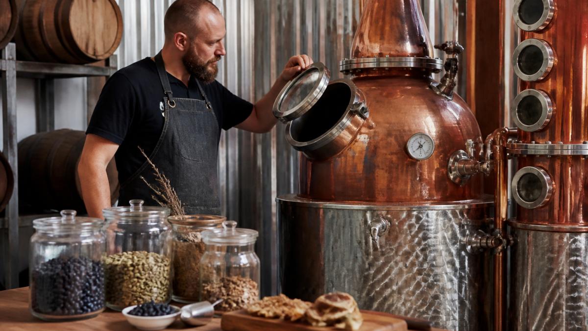 Distiller checking a copper pot still while crafting small batch gin with fresh juniper and botanicals nearby