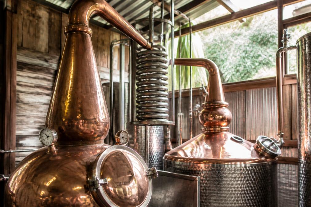 Close-up of gleaming copper pot stills in a small distillery workshop, sunlight reflecting off the handcrafted metal surfaces, showing the intricate coil system and condensing equipment used in artisan rum production