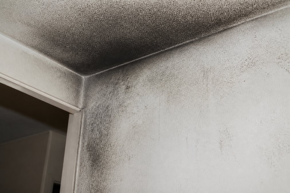 Close-up of soot particles and smoke residue visible on a white wall and ceiling corner, showing dark discoloration and charring patterns from fire damage in a residential interior
