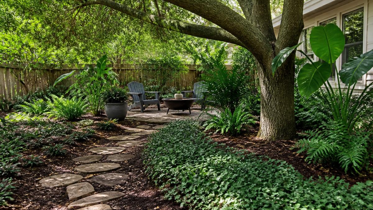 Sod Alternatives for Shaded Florida Backyards