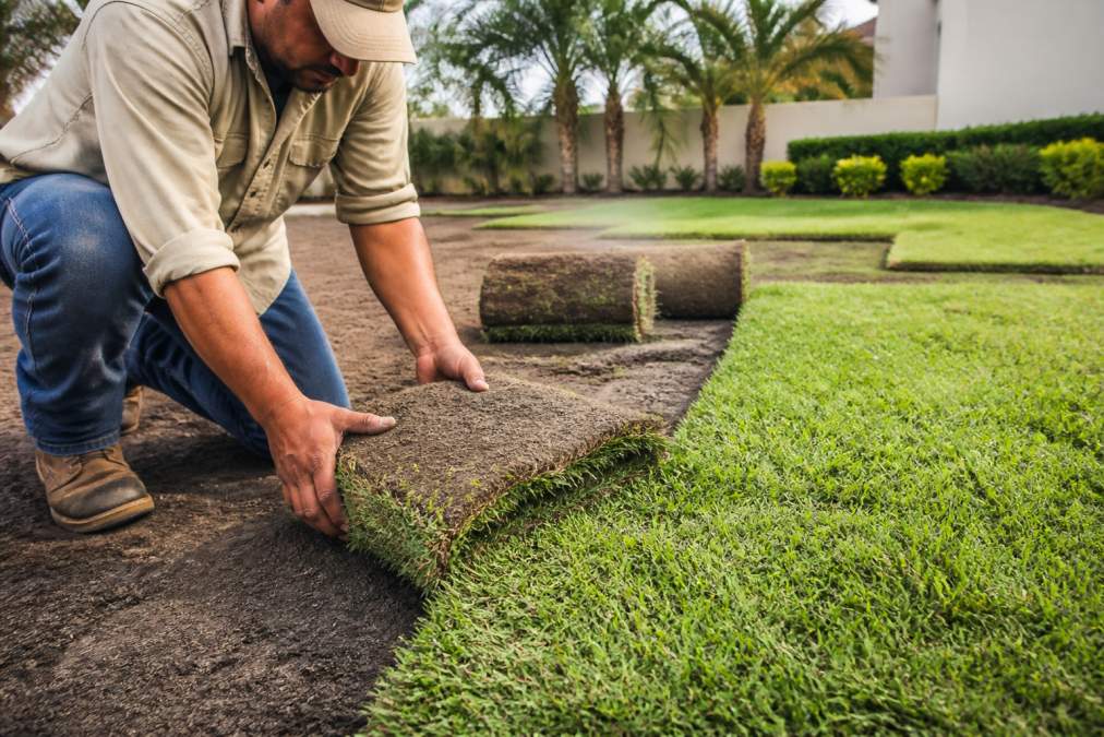 Sod Installation Service South Florida: 2026 Guide