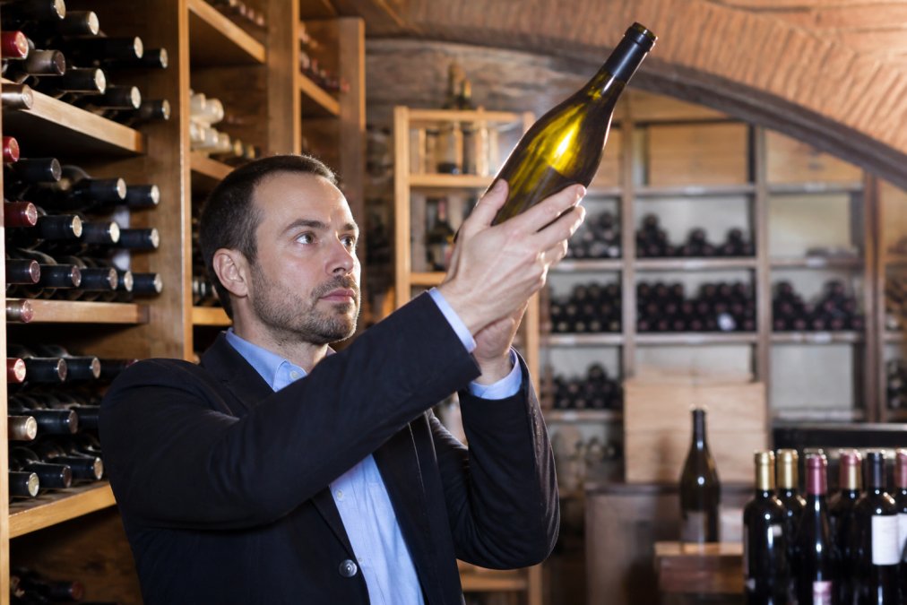 Wine buyer examining a bottle of Italian wine in a cellar, holding it up to natural light to inspect clarity and color, with wooden wine racks visible in the background