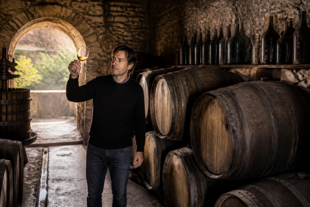 Winemaker in traditional Portuguese or Italian cellar, standing among wooden barrels and aged bottles, natural light filtering through stone archway