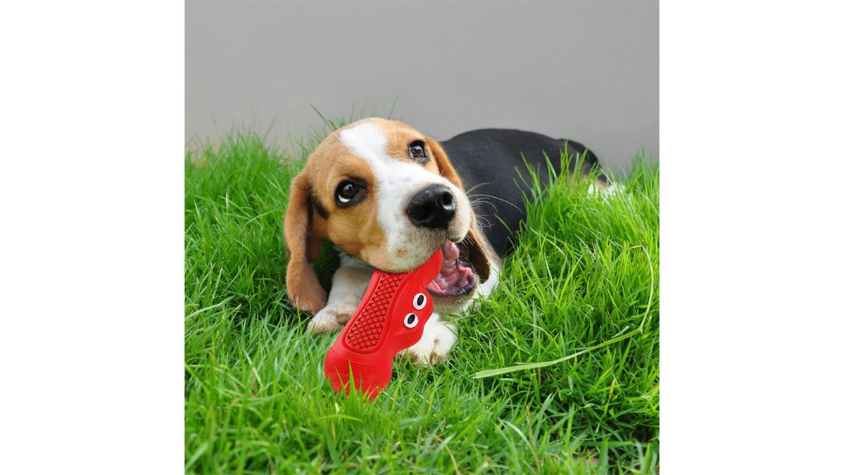 Squeaky Rubber Pet Teething Chew Toy