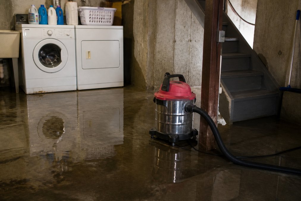 Steps to Take After Basement Flooding (2026 Guide)