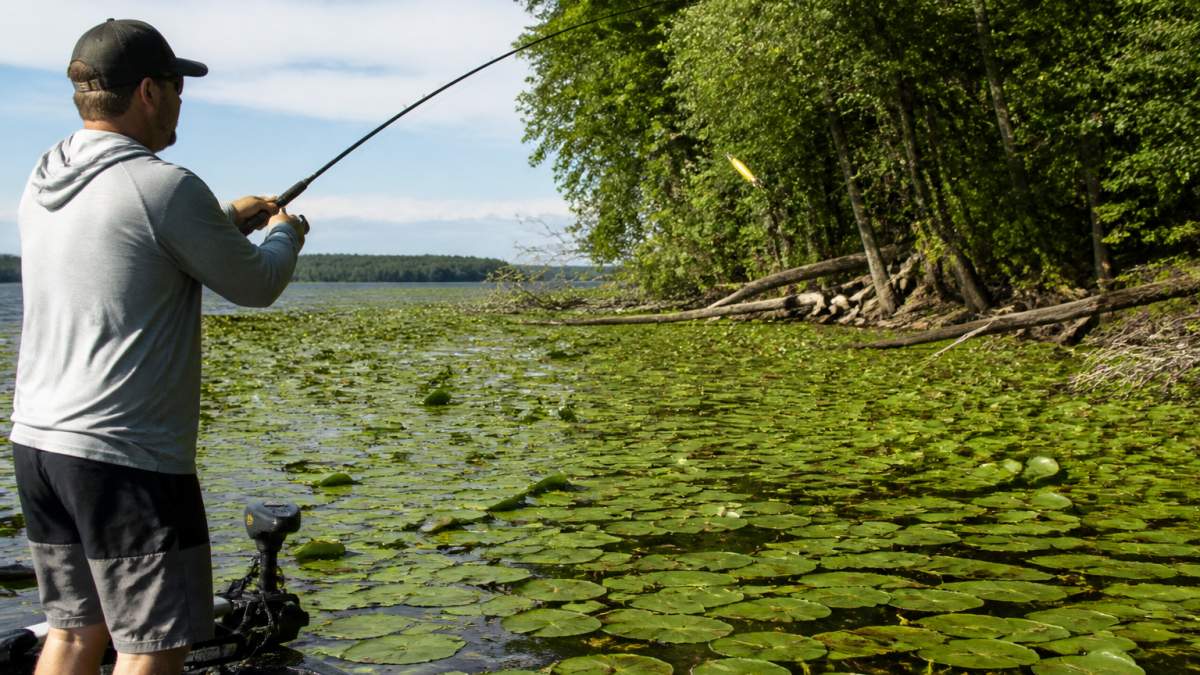 Angler casting a crankbait into dense lily pads and submerged wood cover near the shoreline, with the lure visible mid-cast approaching the thick vegetation