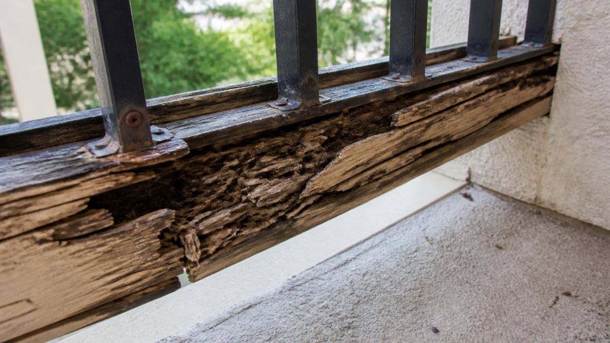Diagram highlighting wood rot and fastener separation as common structural issues SB 721 inspections identify.