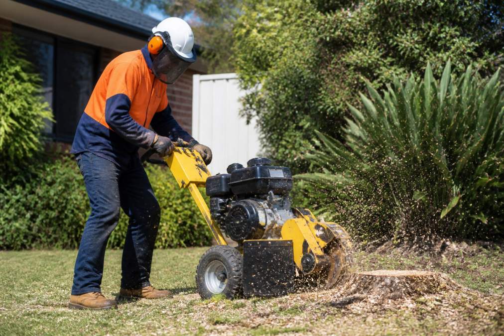 Person wearing full protective gear including white hard hat with attached face shield, orange ear muffs, heavy-duty work gloves, and steel-capped boots, operating a stump grinder on a residential garden stump with wood chips flying