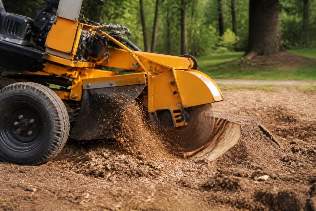 Stump Removal Machine for Sale: What to Buy in 2026