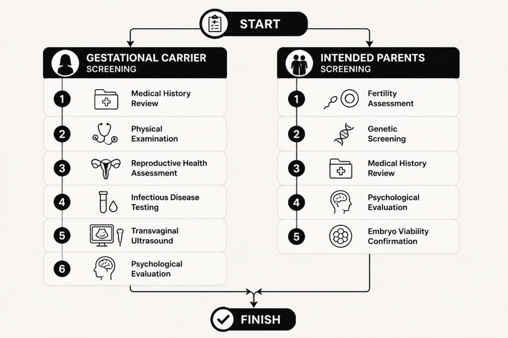 Flowchart showing parallel screening paths: Gestational Carrier screening (medical history review, physical examination, reproductive health assessment, infectious disease testing, transvaginal ultrasound, psychological evaluation) and Intended Parents screening (fertility assessment, genetic screening, medical history review, psychological evaluation, embryo viability confirmation)
