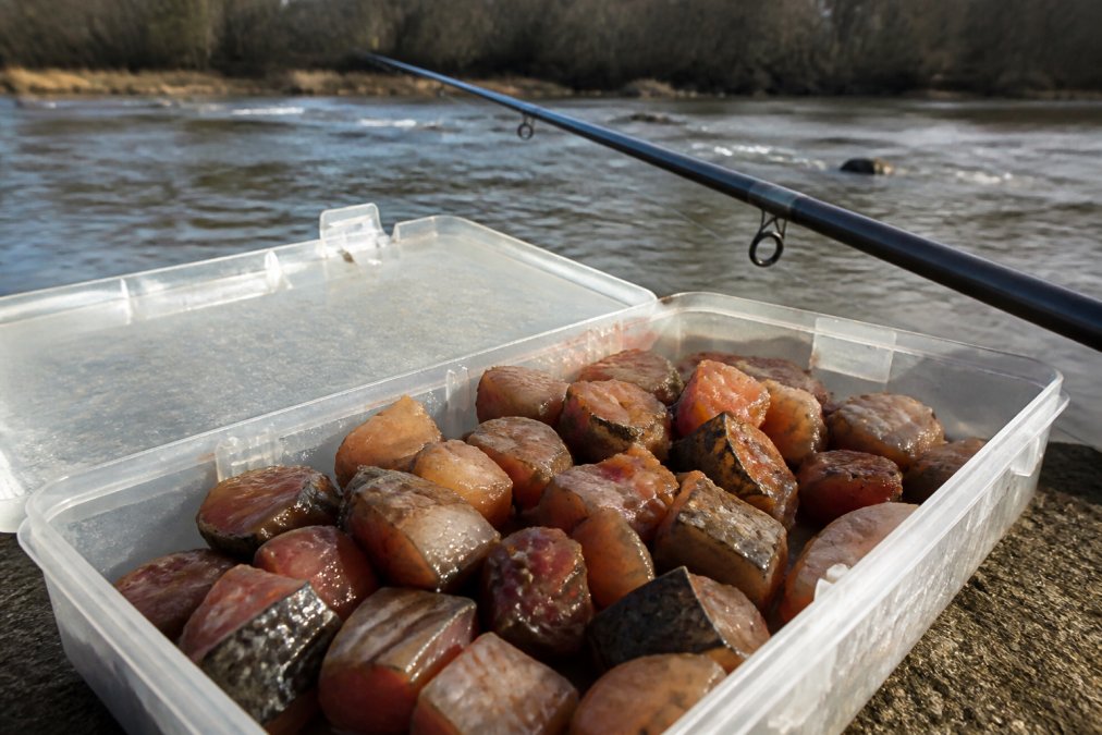 Close-up of fresh cut carp bait in a tackle box with fishing rod and river background, showing the bait's texture and oily sheen