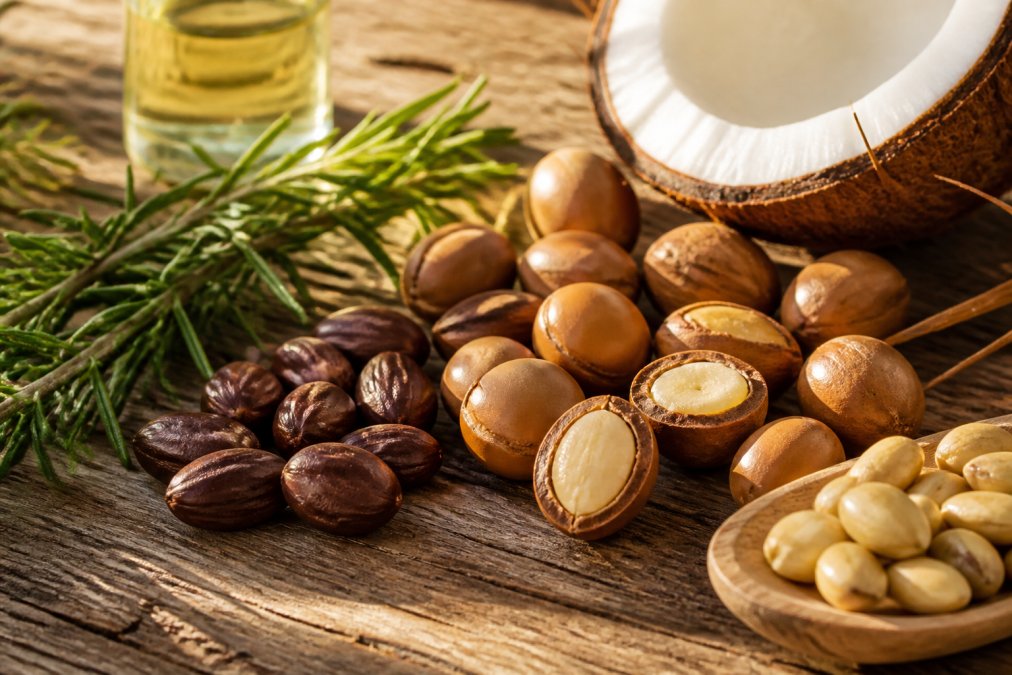 Close-up of fresh botanical ingredients, rosemary sprigs, jojoba seeds, argan nuts, and coconut flesh, arranged on natural wood surface with soft morning sunlight streaming across