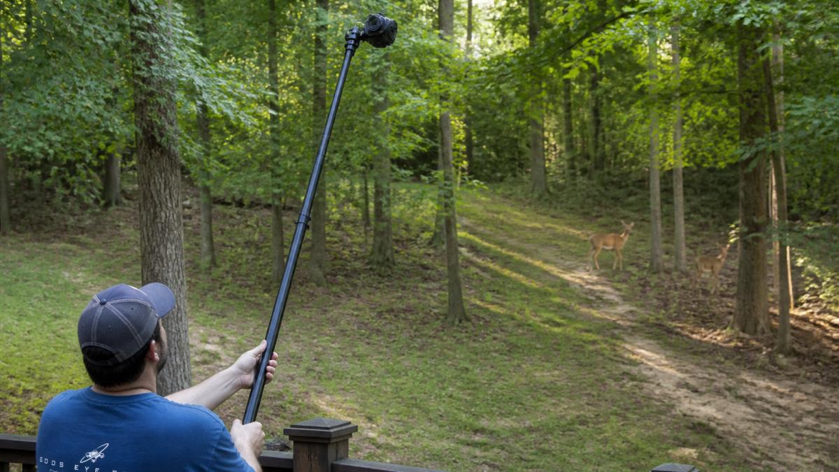 A 12-foot telescopic pole camera wildlife setup captures deer movement along a wooded trail from a downward angle.
