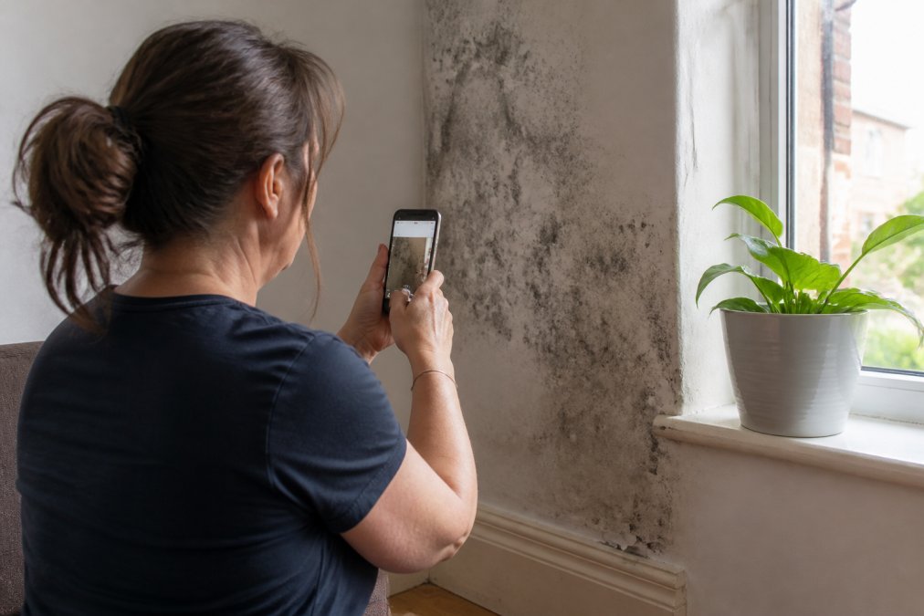Tenant at home documenting damage with a smartphone camera, photographing a damp wall with visible mould growth near a window, natural daylight streaming in
