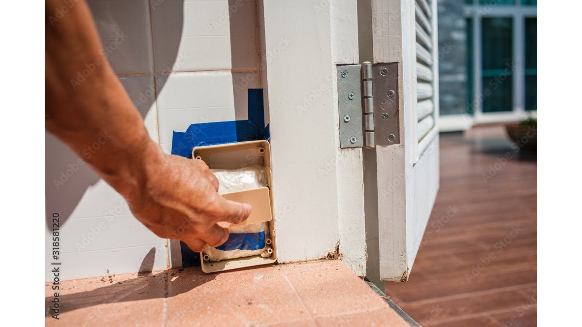 5 Best Termite Baiting Systems for Perth Homes