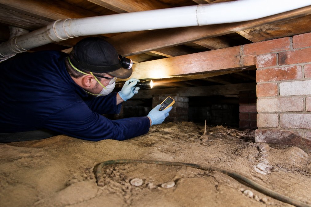 Pest control professional using a moisture meter during a termite inspection under a house sub-floor.