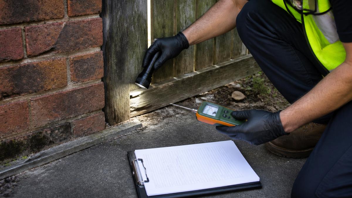 A pest control inspector in a hi-vis vest kneeling beside a brick home, using a torch and moisture meter to examine the base of a timber fence for termite mudding, with a clipboard and inspection report resting nearby