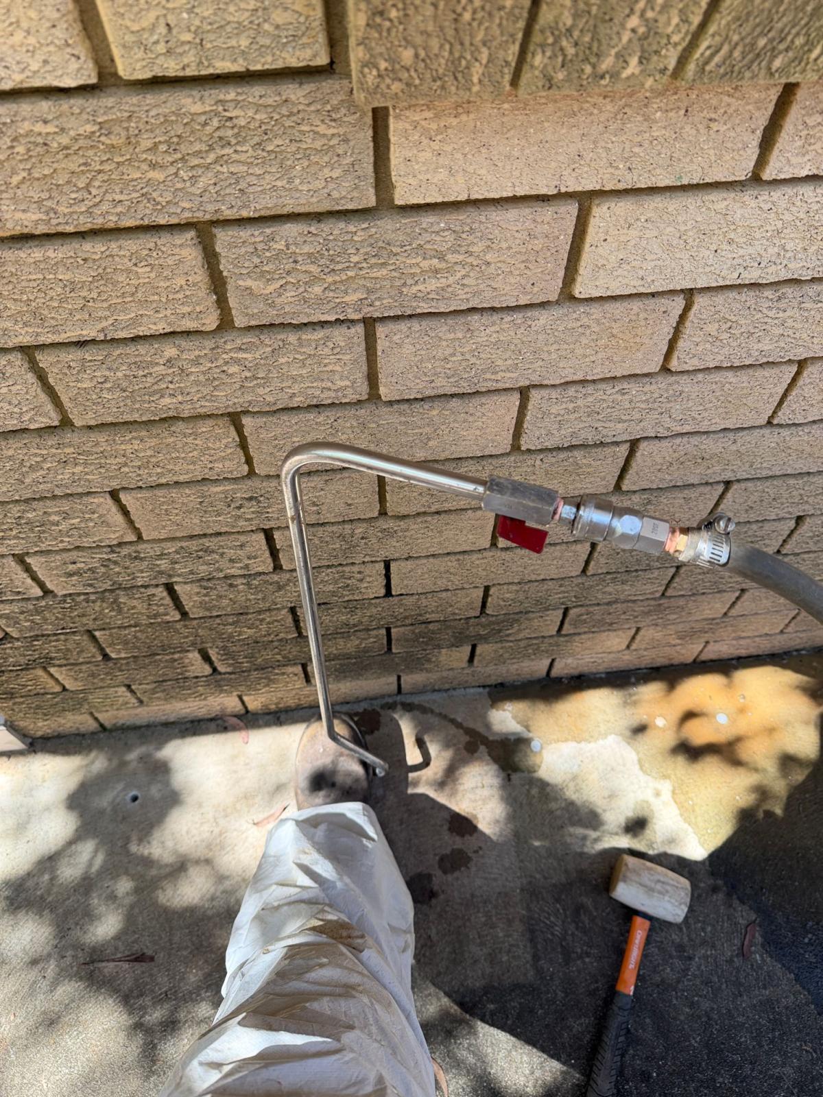 Termite Job 4