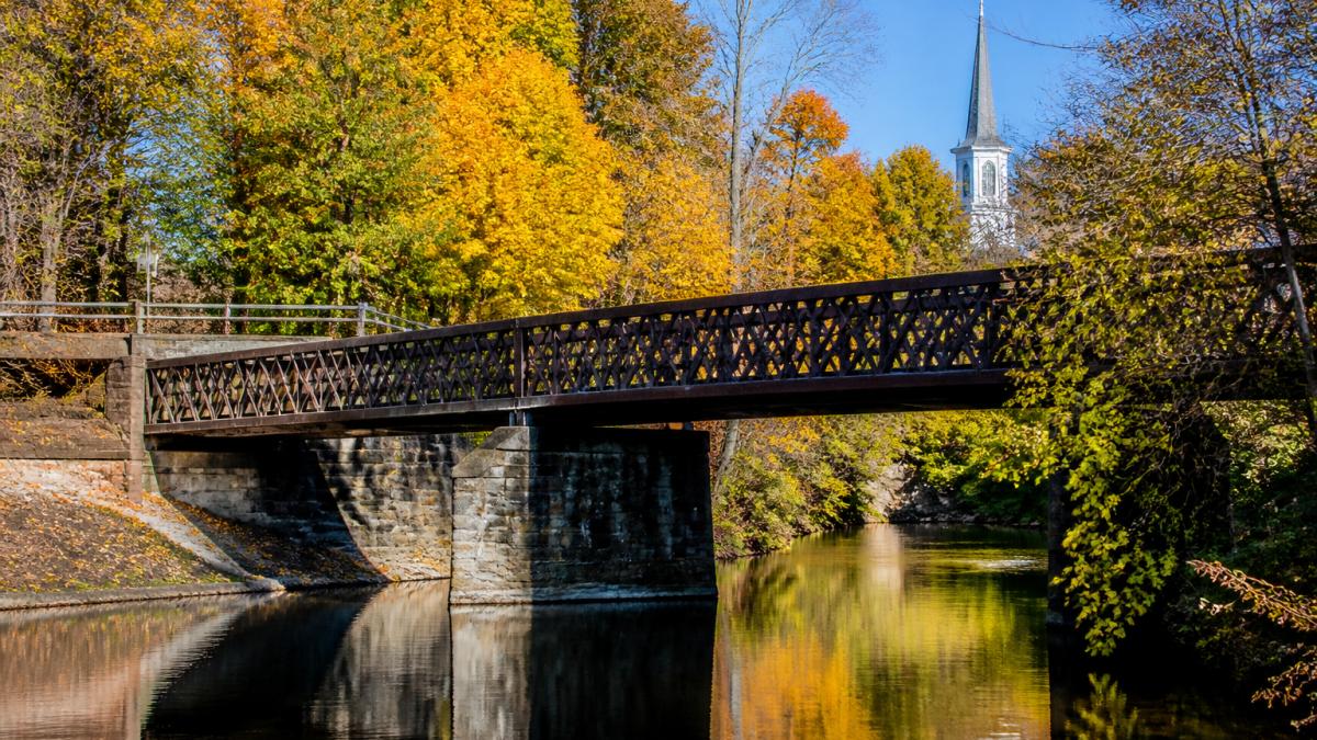 Terryville: Community Guide & Local Information